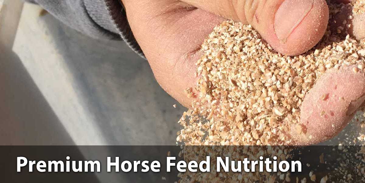 premium-horse-feed-nutrition