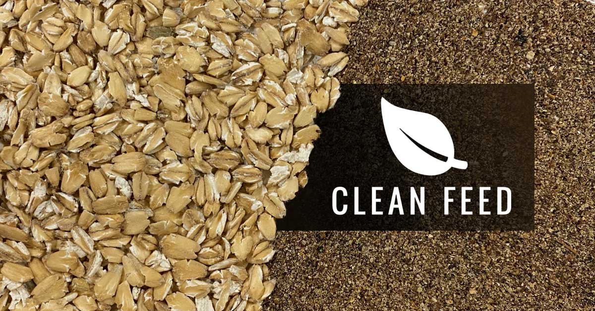 Clean Horse Feed