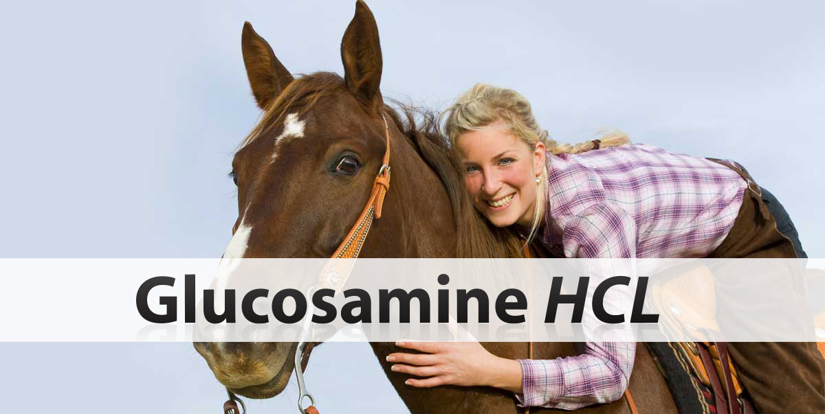 Glucosamine HCL for Horses