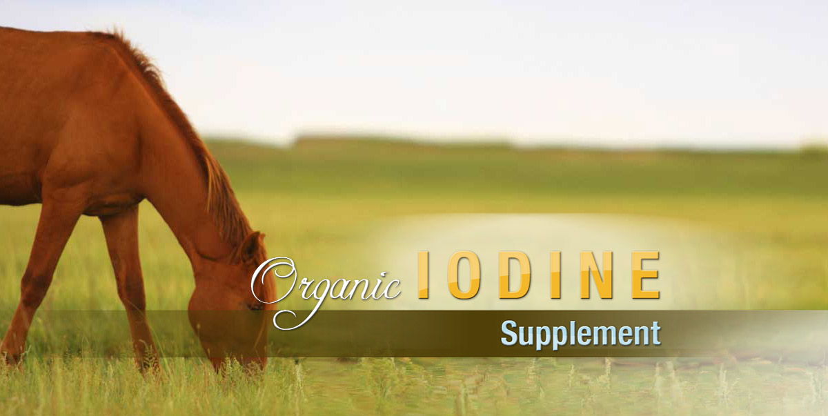 organic iodine supplement