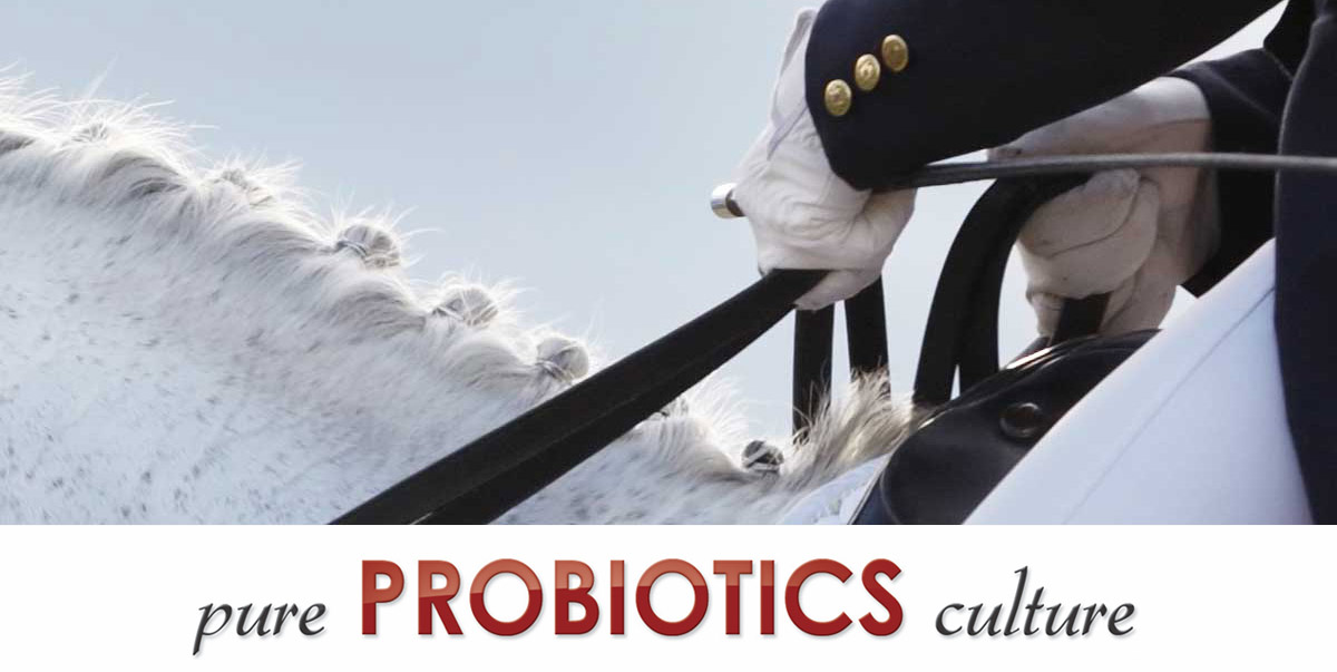 MicroEncapsulated Probiotics Supplement for Horses