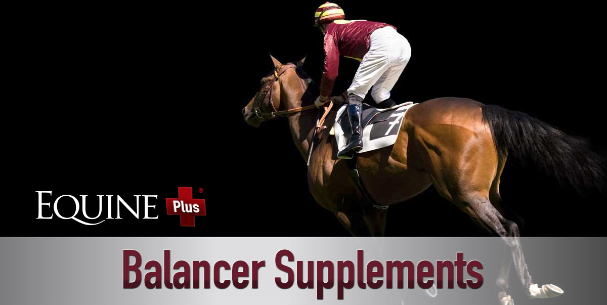 Equine Plus® Balancers