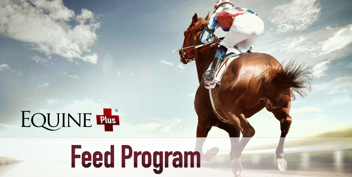 Equine Plus® Feed Program