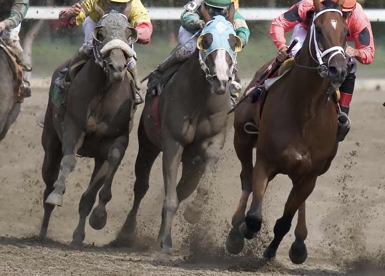 EPM in Horses An Overview