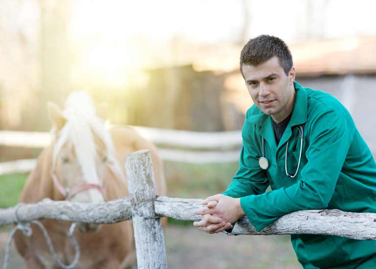 EPM in Horses An Overview